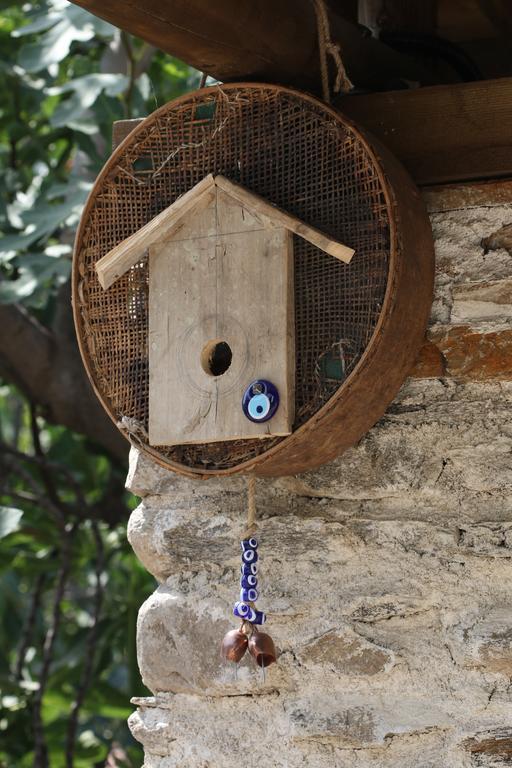 Yeni Gelin Evi Διαμέρισμα Birgi Εξωτερικό φωτογραφία